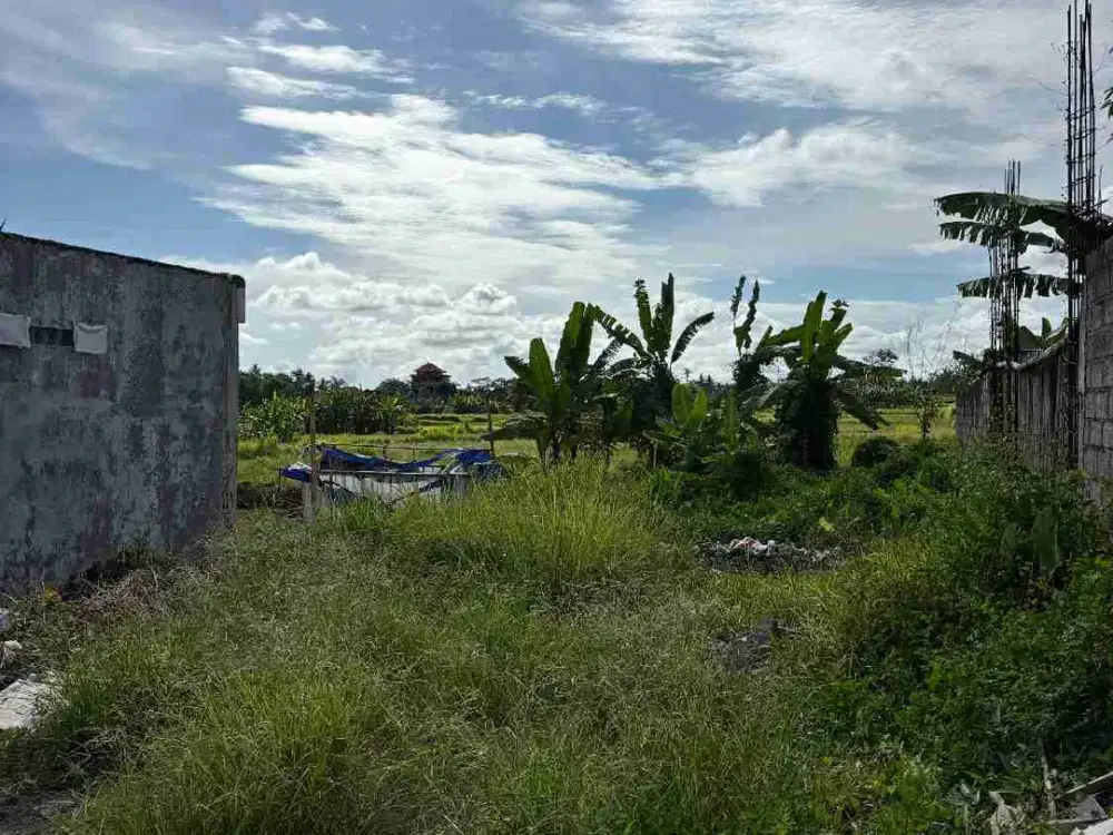 Tanah 2 Are Ubud Tampaksiring Bali