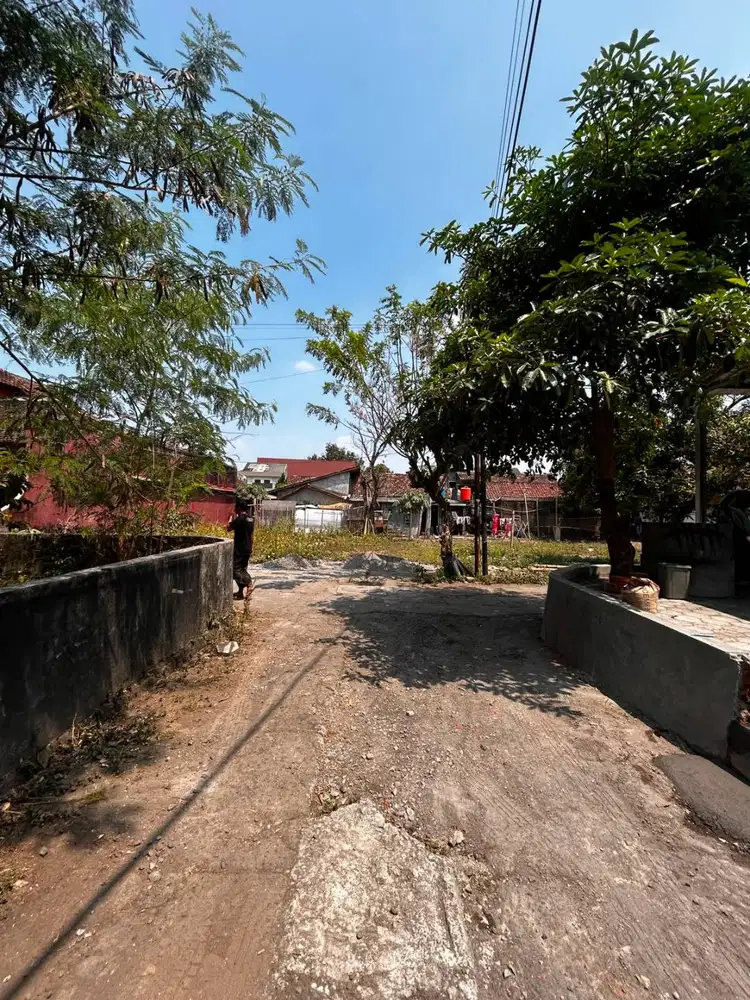 Tanah Disewakan