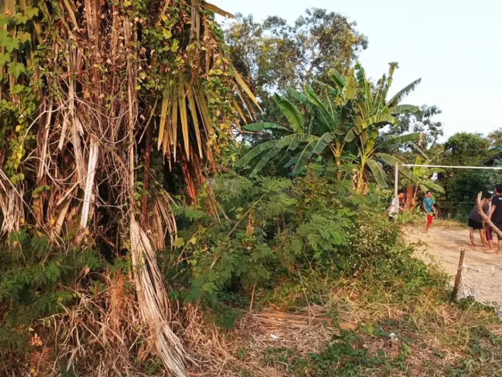 Tanah Pekarangan Murah Lokasi Jumputrejo Sukodono Sidoarjo