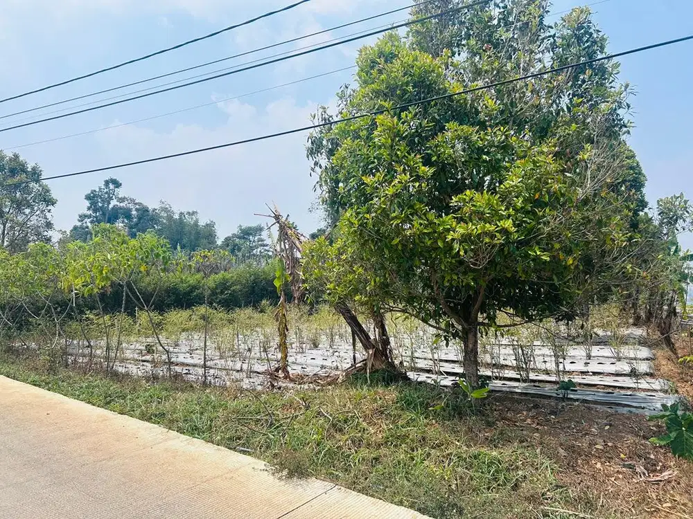 Tanah 700 m2 dekat stasiun kereta api cepat