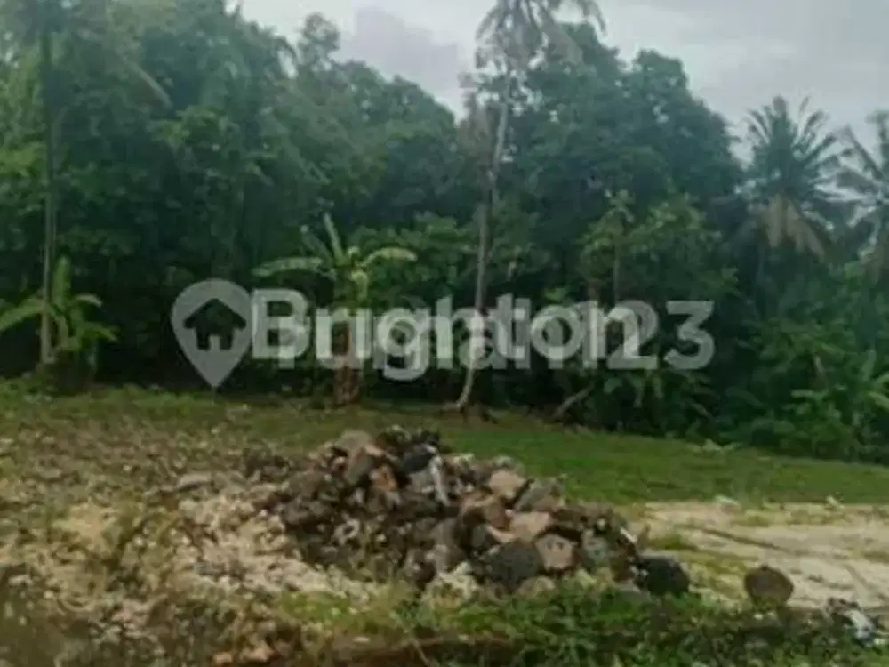 Tanah Premium Dijual - SHM (Freehold) - Pink Zone\Npremium Land For Sale - Freehold - Pink Zone (Commercial)