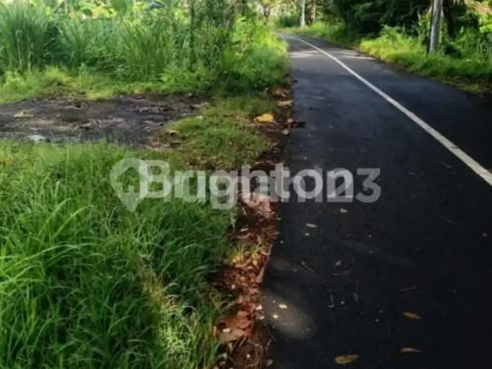 Turun Harga Di Jual Tanah Kavling Lingkungan Nyaman Cocok Untuk Villa Di Pering Gianyar