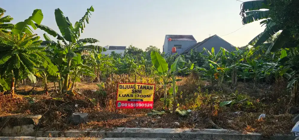 Jual Tanah Cepat
