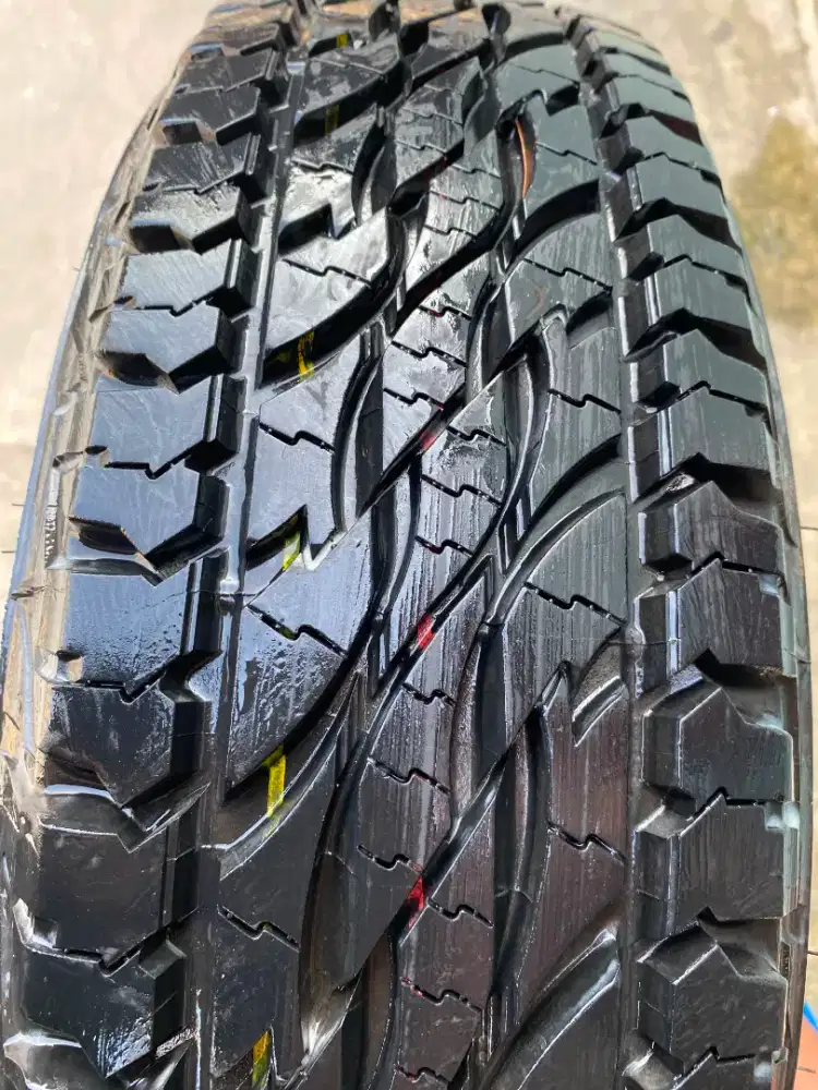 Ban r 16 riborn