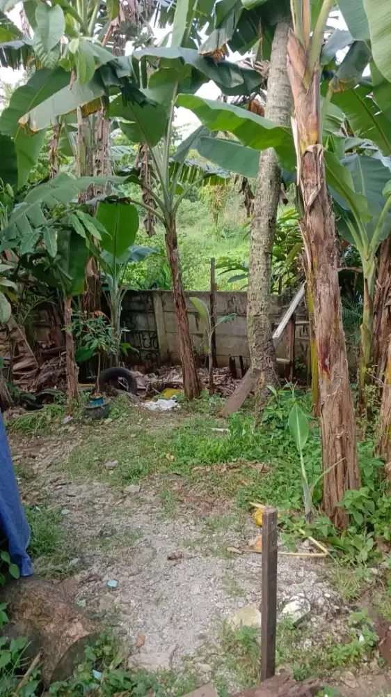 Dijual tanah di pondok cabe udik