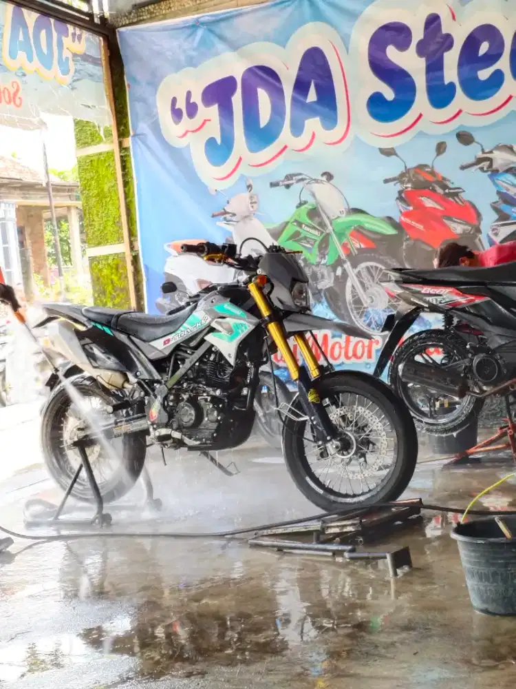 Dtraker 2020 waran putih abu abu