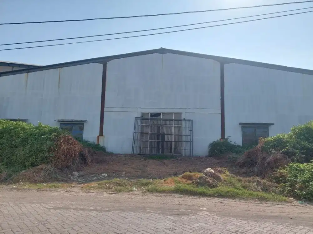 GUDANG TAMBAK SAWAH SIDOARJO • Row Jalan 2 mobil loss • Kontainer 40 feet masuk