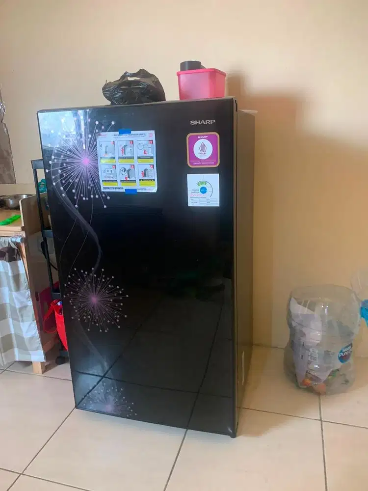 kulkas sharp 1 pintu