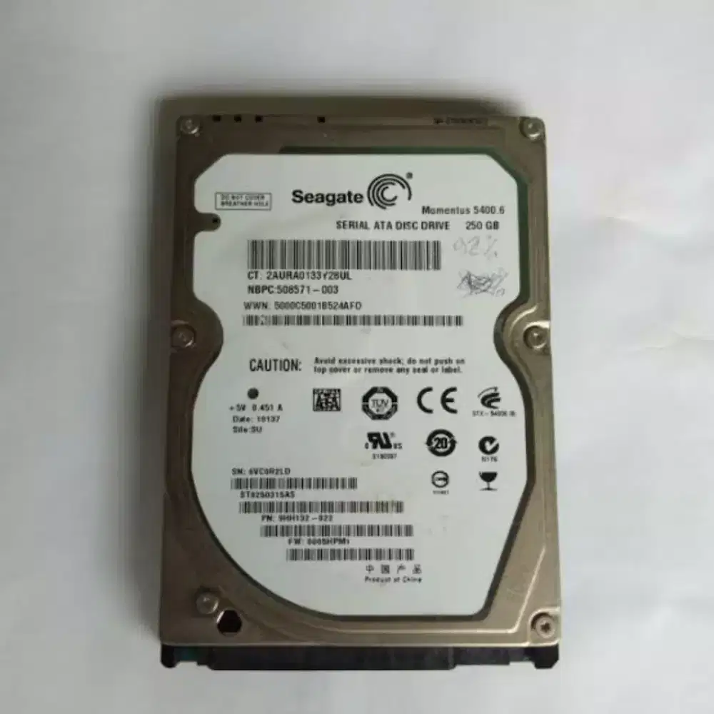 HARDISK 250GB WINDOWS 20