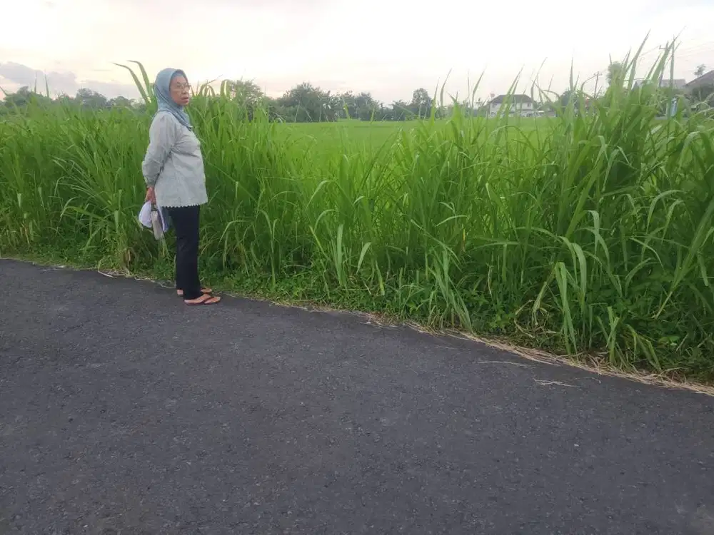 Dujual tanah sawah strategis BU