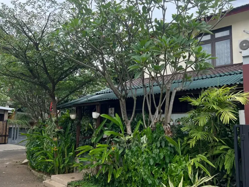 Hunian Hoek Halaman Luas, Rumah Asri di Bintaro Sektor 5 NV-19073