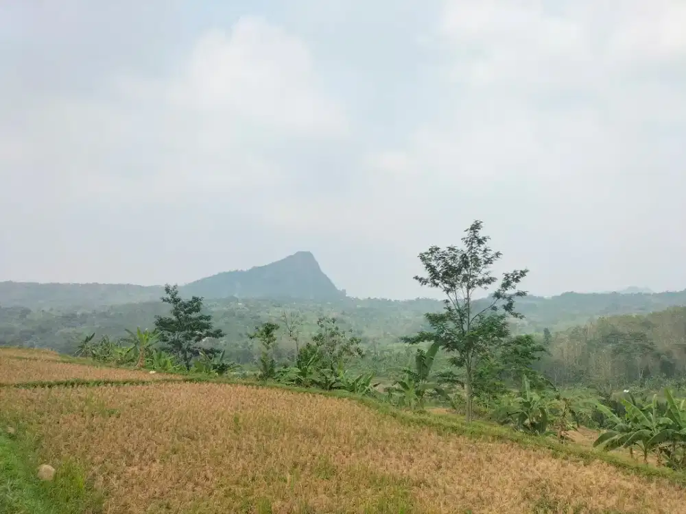 Dijual Tanah 3.009 M² – SHM,View Pegunungan,Cocok Villa dan Berkebun