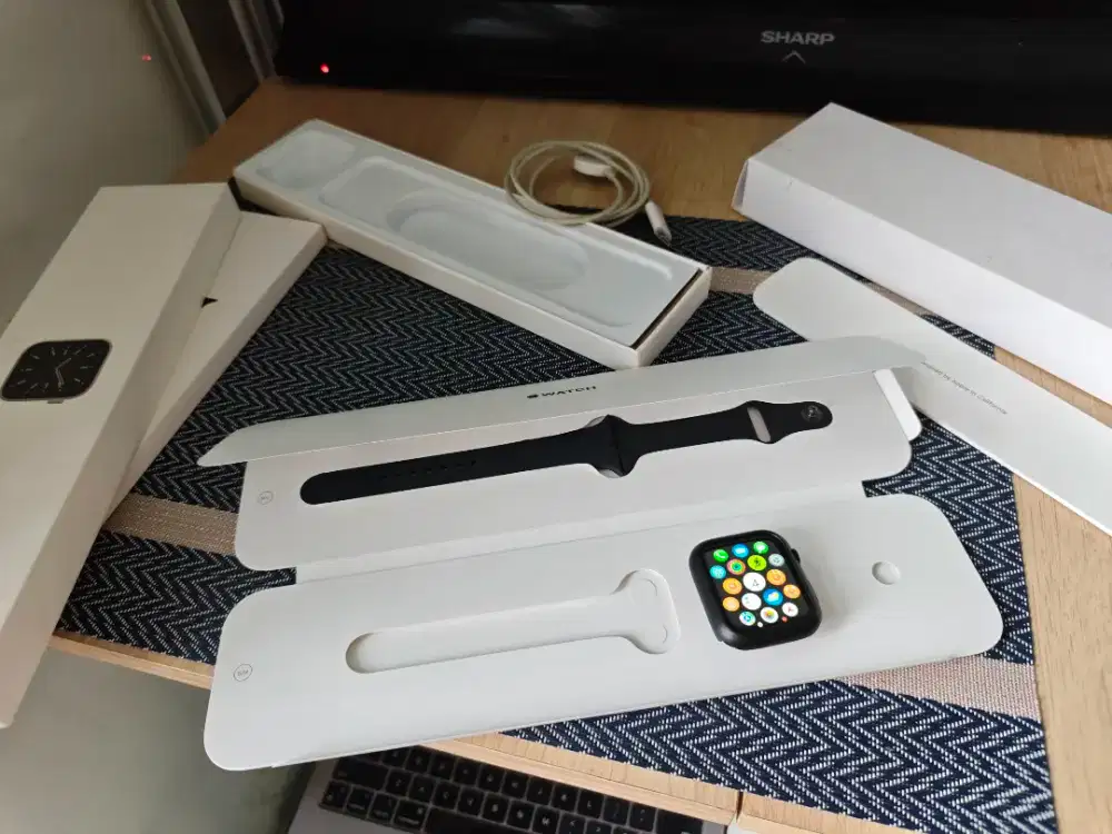 Apple Watch Series 5 Titanium 44mm Rare Item iWatch