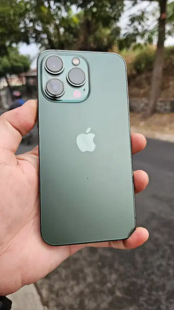 Iphone 13 Pro 256GB Green