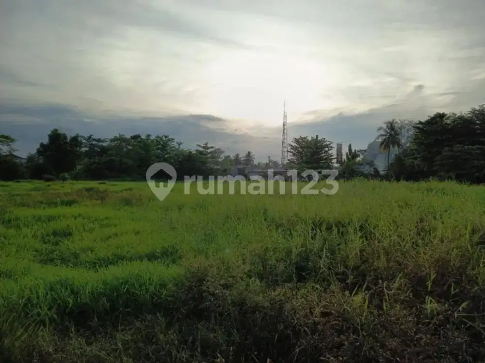 Bebas Banjir, Tanah, Dekat Fasilitas Kesehatan, di Pekalongan Selatan