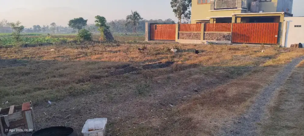 Tanah kavling, siap bangun di sekar putih bondowoso