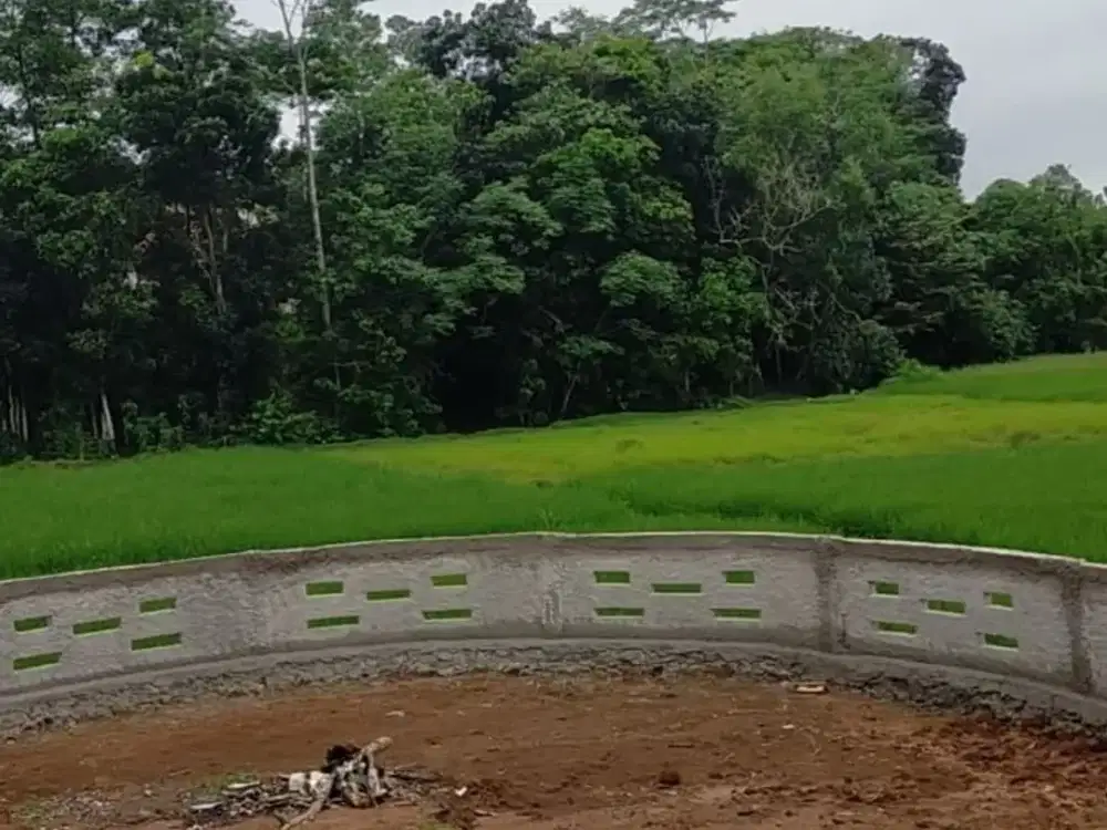 Dijual Kavling Tenjo SHM di Jln Manunggal, Raya Parung Panjang By Rumah Chinida (Ls)