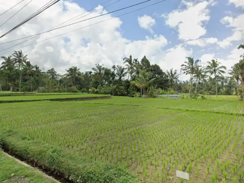 Jual Tanah Kavling Tegalalang Ubud Bali View Gunung
