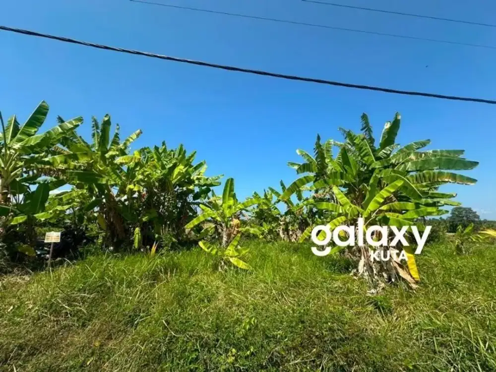 DIJUAL TANAH VIEW SAWAH DEKAT PANTAI LEBIH DI SIYUT TULIKUP GIANYAR