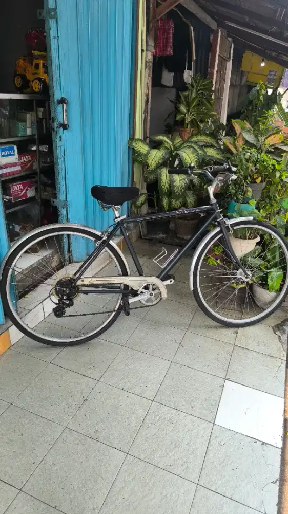 SCHWINN COFEE 2 700C