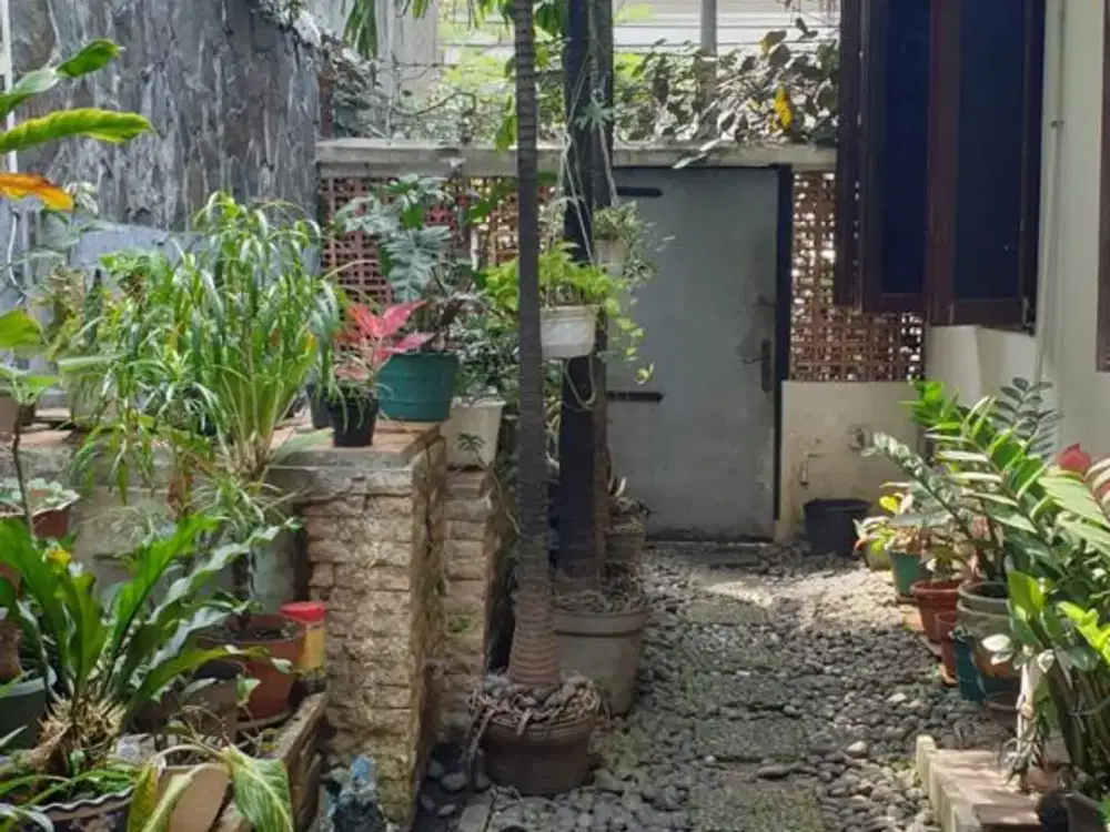 Rumah Menteng SHM Dijual Cepat di Jakarta Pusat