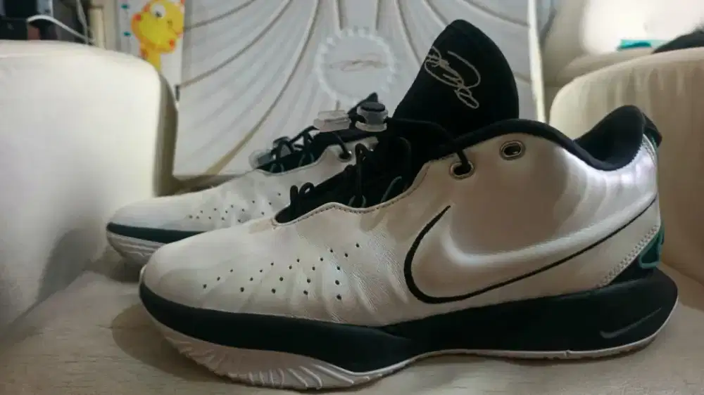 Nike Lebron xxl 21
