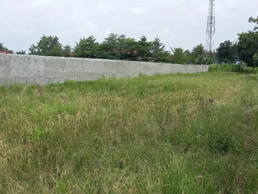 DIJUAL TANAH 2.441 m² – BAGAN PERCUT | SHM!