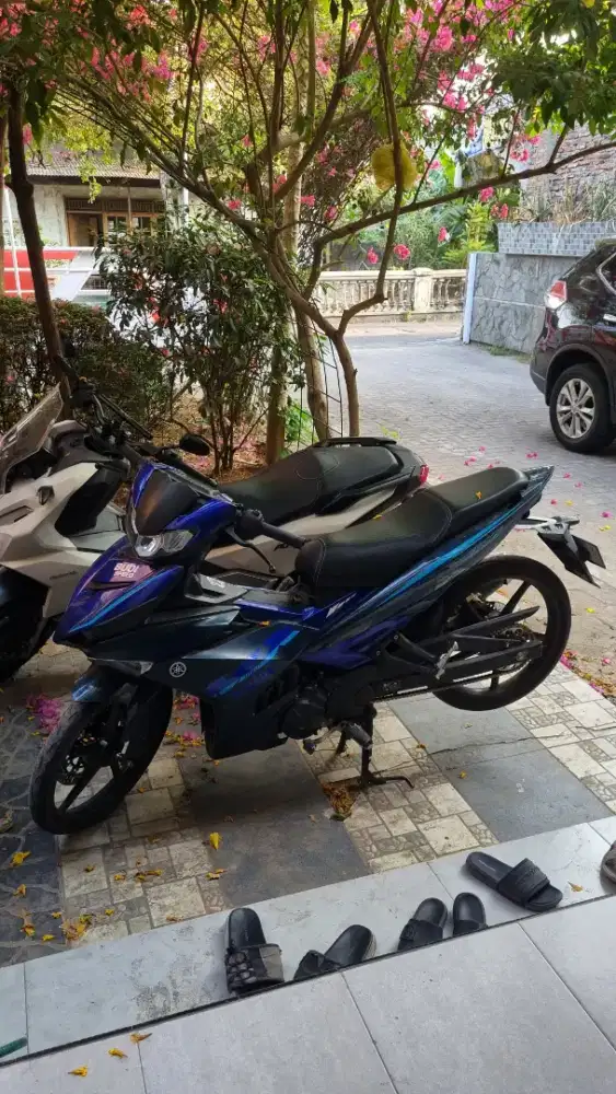 mx king v2 2024