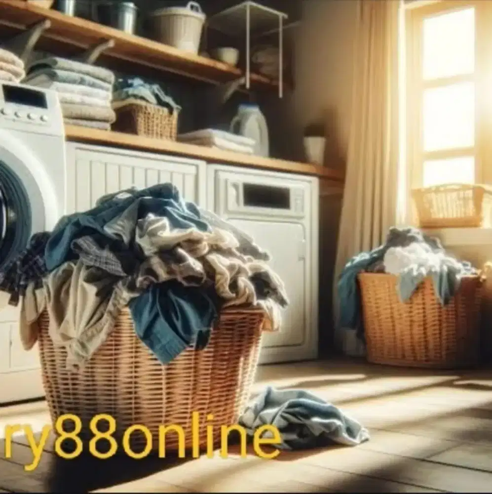 Dicari kurir laundry