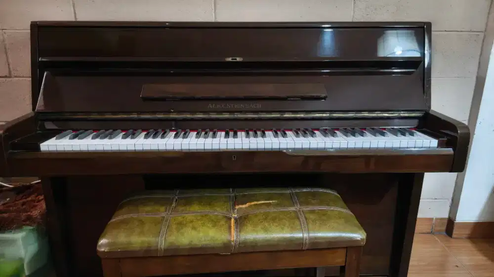 Alex Steinbach (upright)