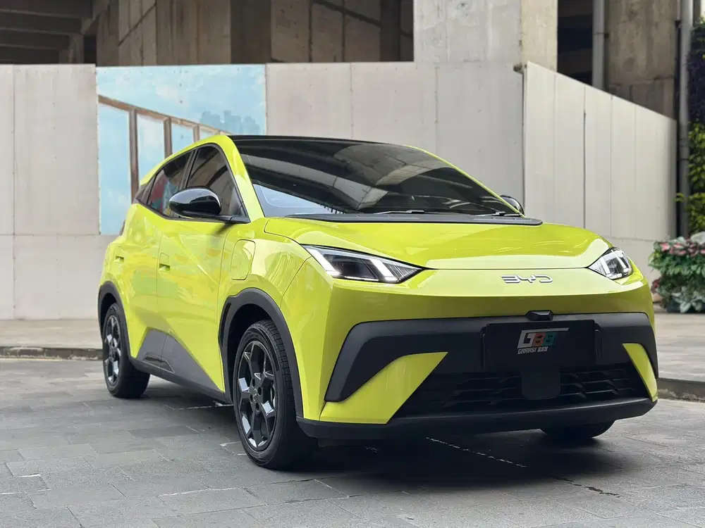 BYD ATTO 1 PREMIUM LONG RANGE AT NIK 2025