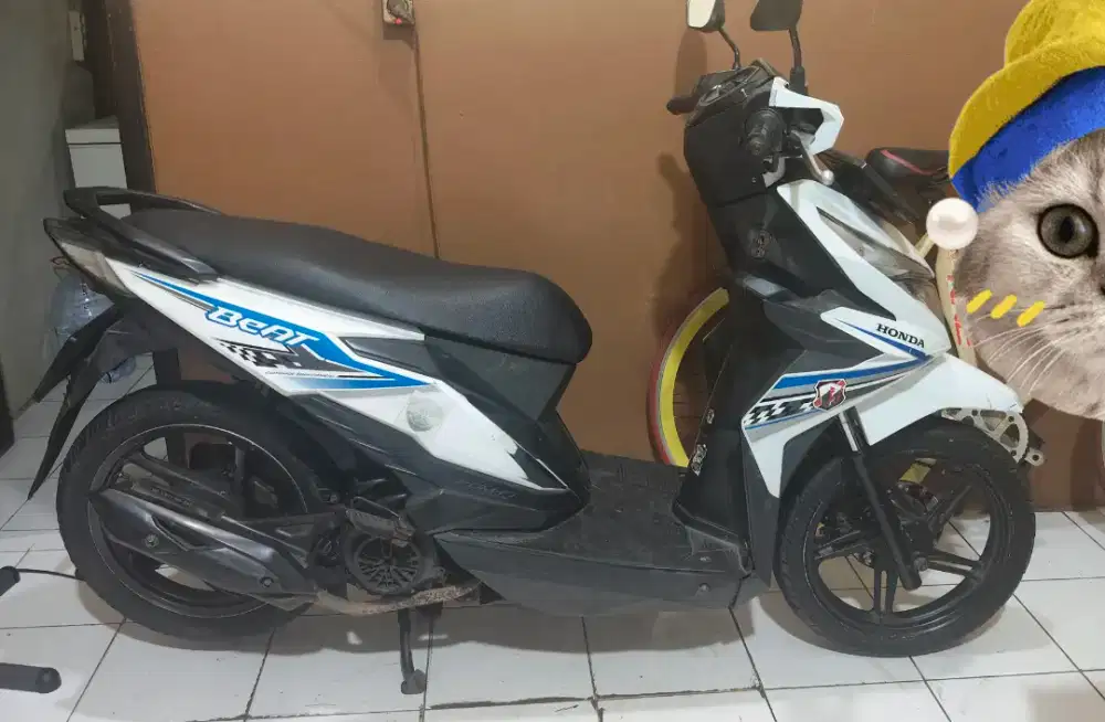BEAT ESP ECO 2018