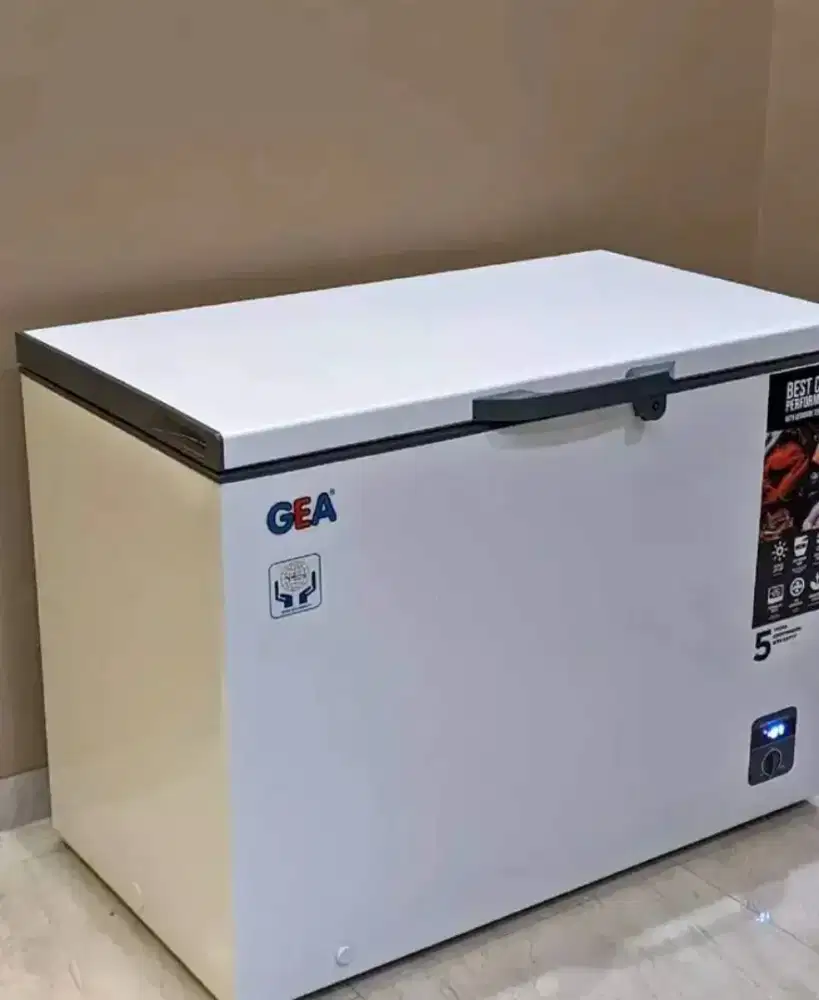 Freezer box GEA 310liter