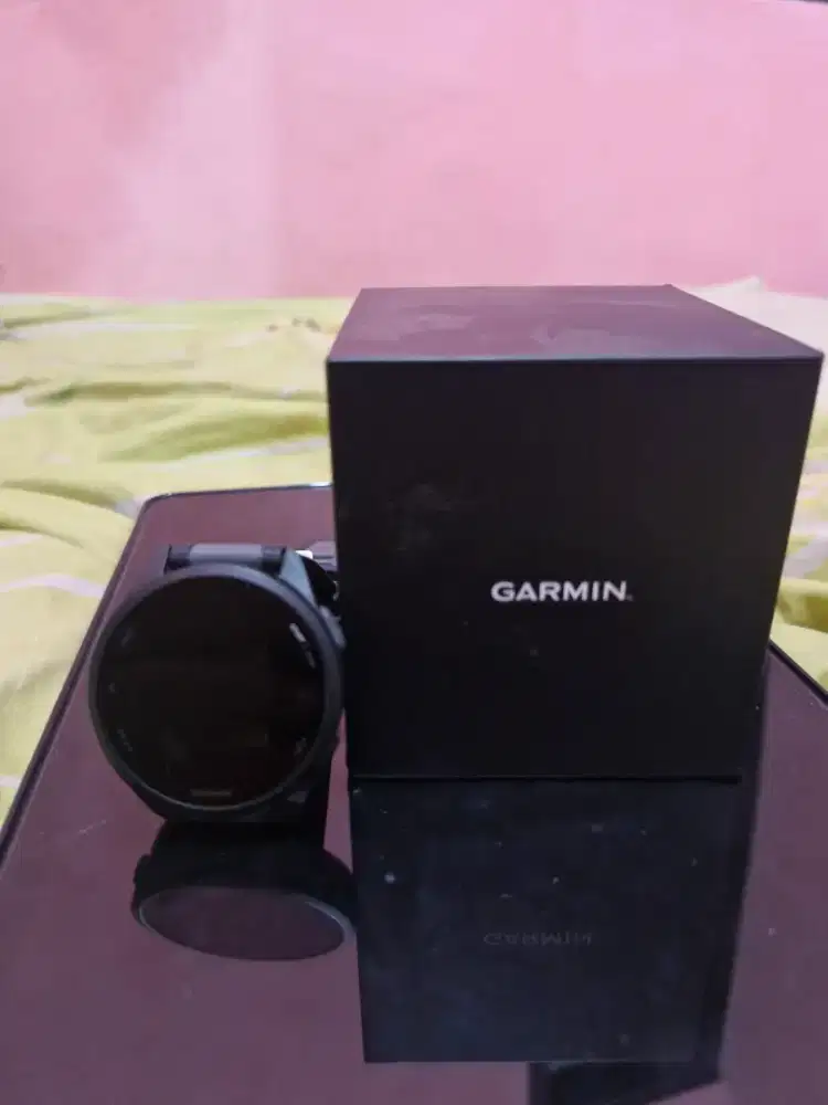 Smartwatch Garmin Forerunner 165