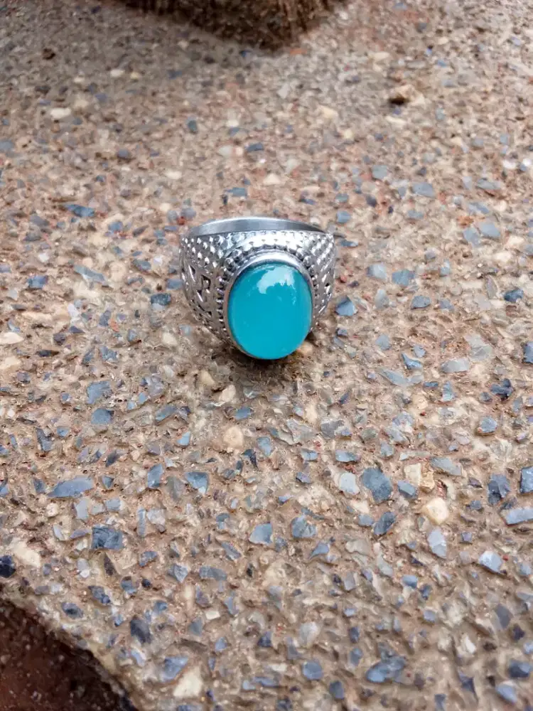 Jual aja palmea biru relaxa