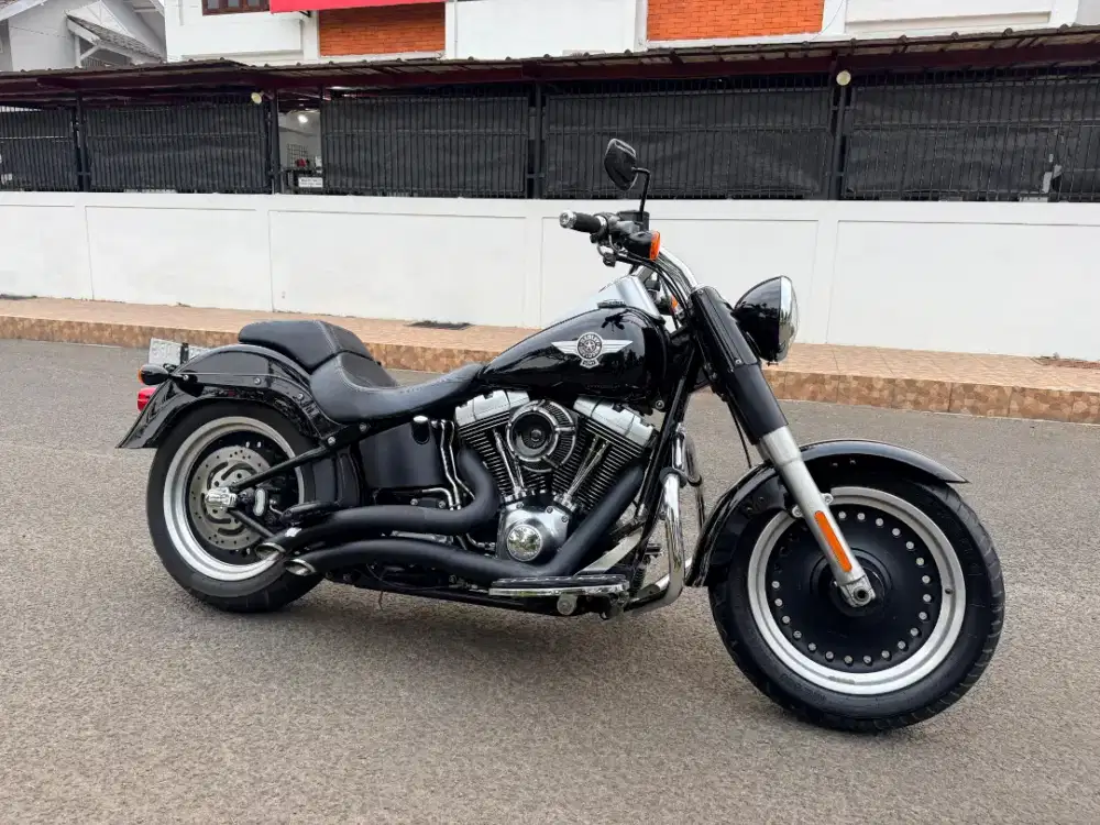 Harley davidson fat boy 2010
