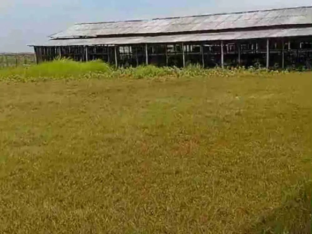 Dijual tanah di Balaraja, Tangerang.