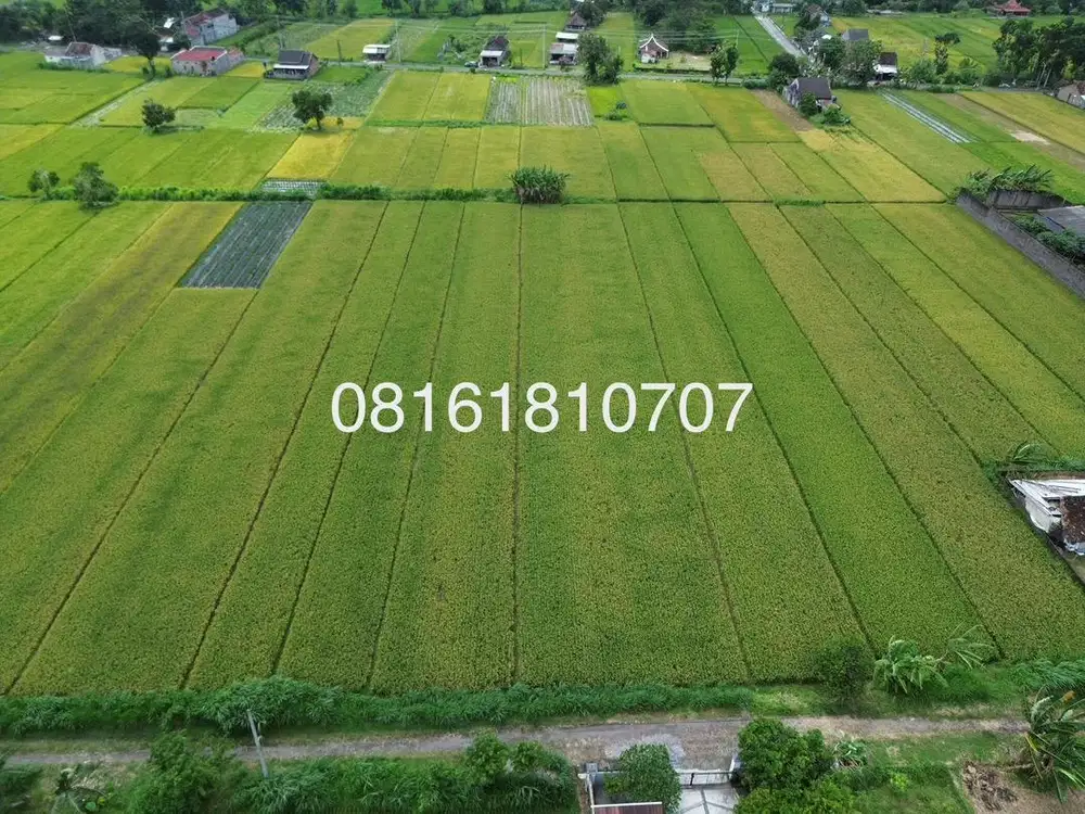 Tanah persawahan perkarangan