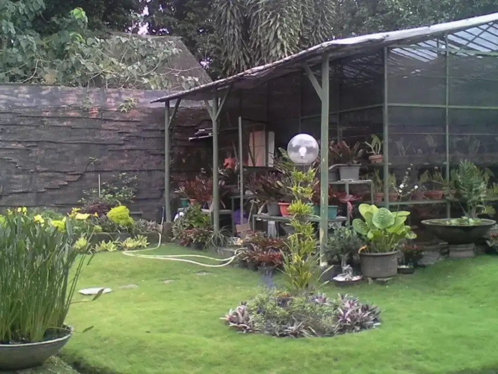Rumah halaman luas di jalan Abadi Gegerkalong Bandung