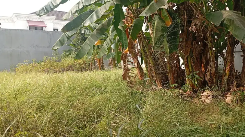 Jasa potong rumput