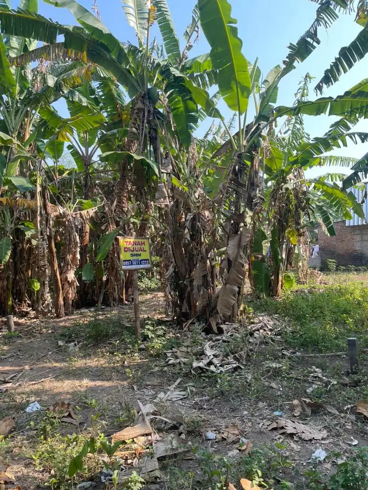 Tanah kavling siap bangun
