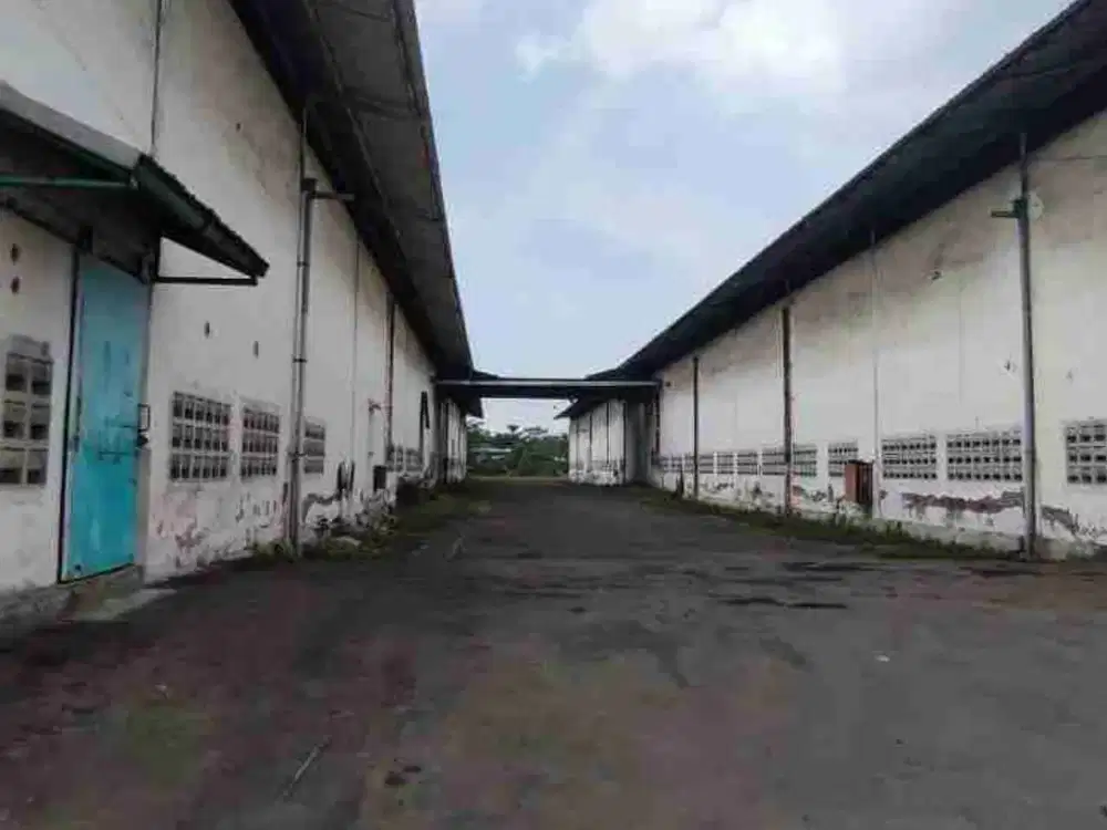 Gudang sewa murah Raya Waru Aloha sidoarjo surabaya juanda