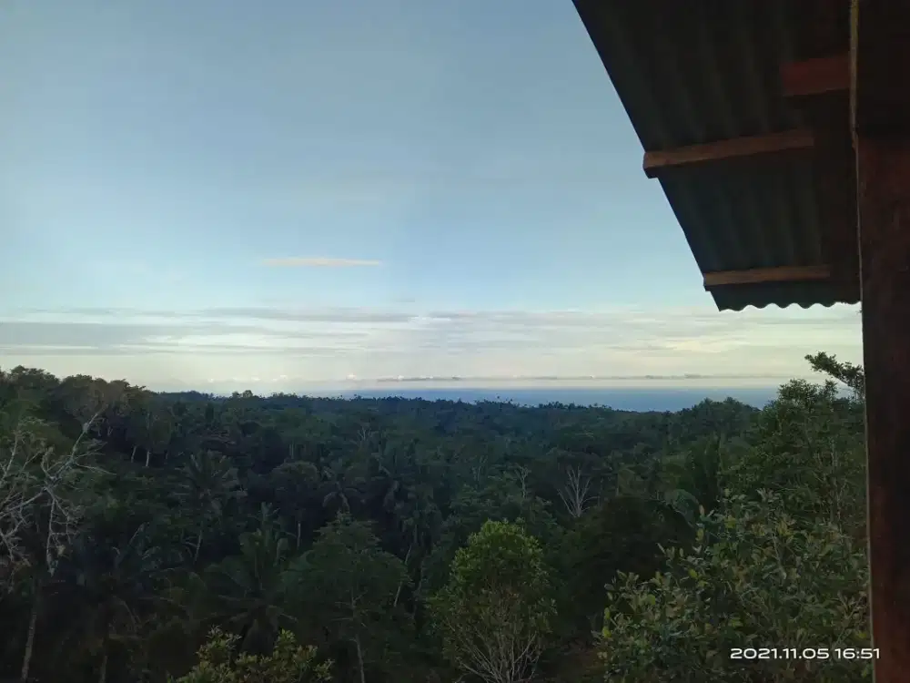 Jual Tanah Kebun, View Bagus