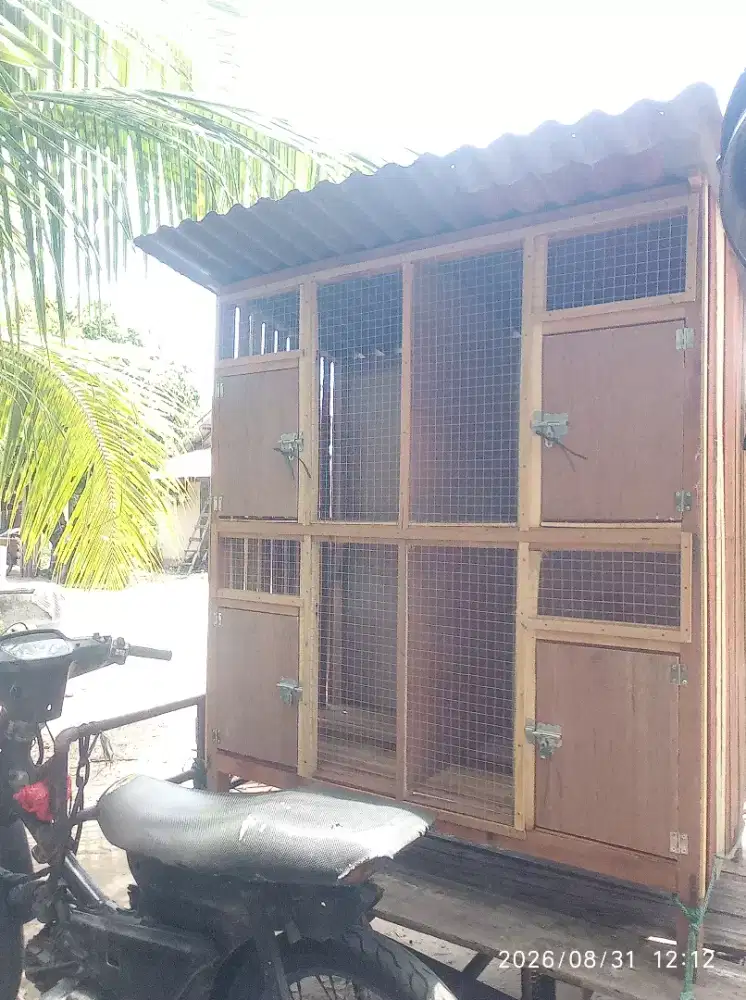 Kandang 4 pintu