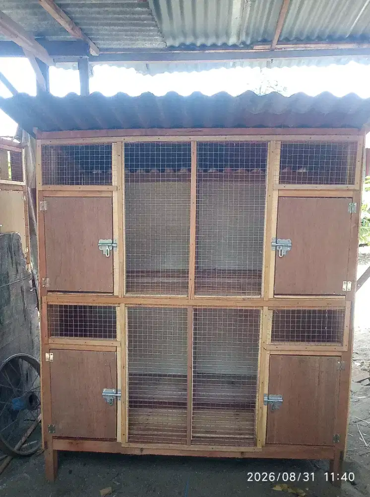 Kandang 4 pintu