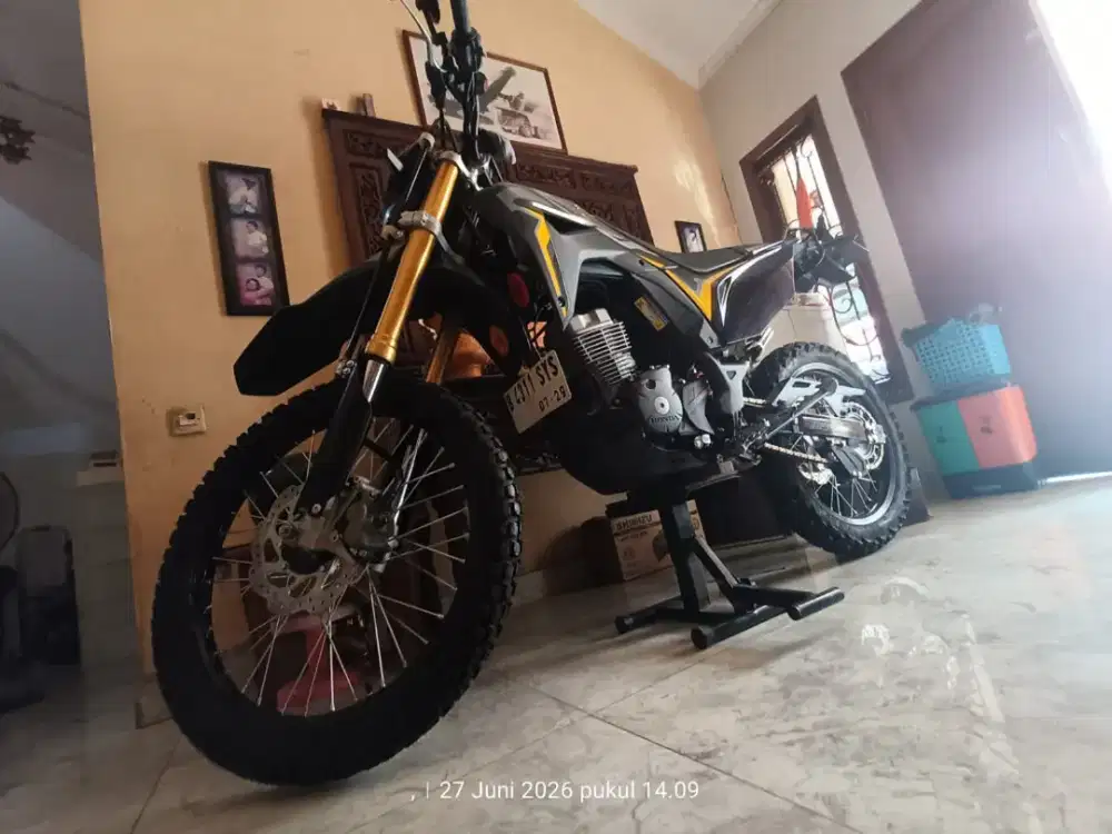 CRF L 2024 + Acecoris