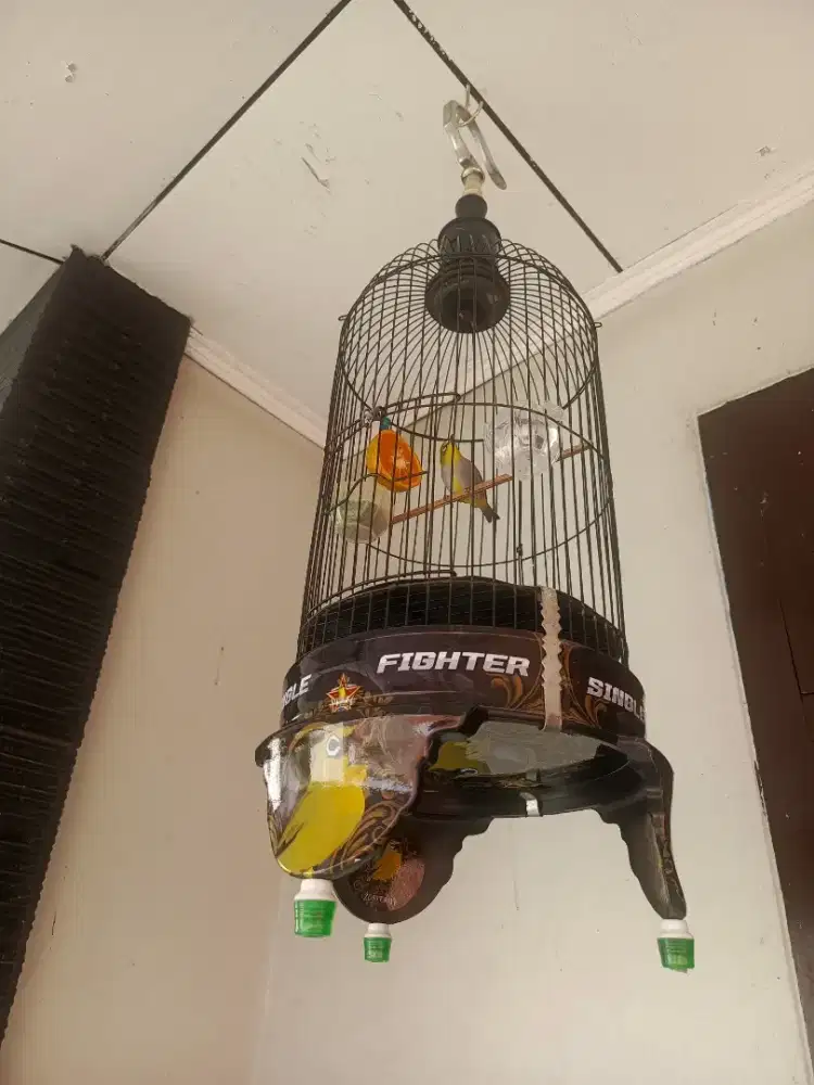 Kandang + Burcil (Burung Kecil)