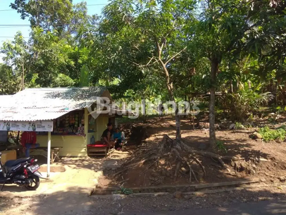 Di Jual Tanah Produktif di Desa Cisolok Sukabumi Jawa Barat.