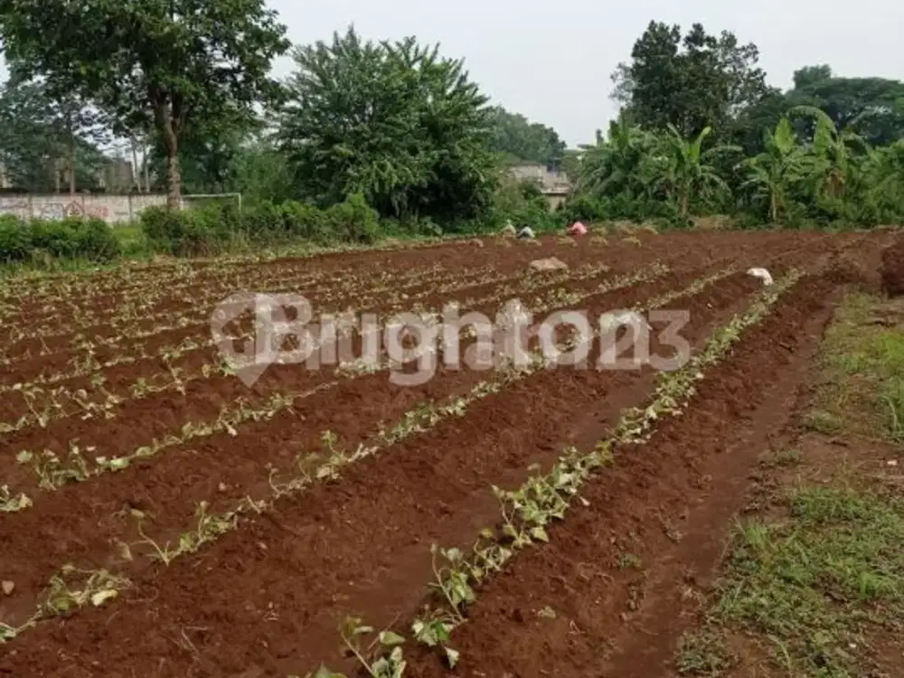 Di Jual Tanah luas pinggir Danau Situ Gede - Bogor Barat