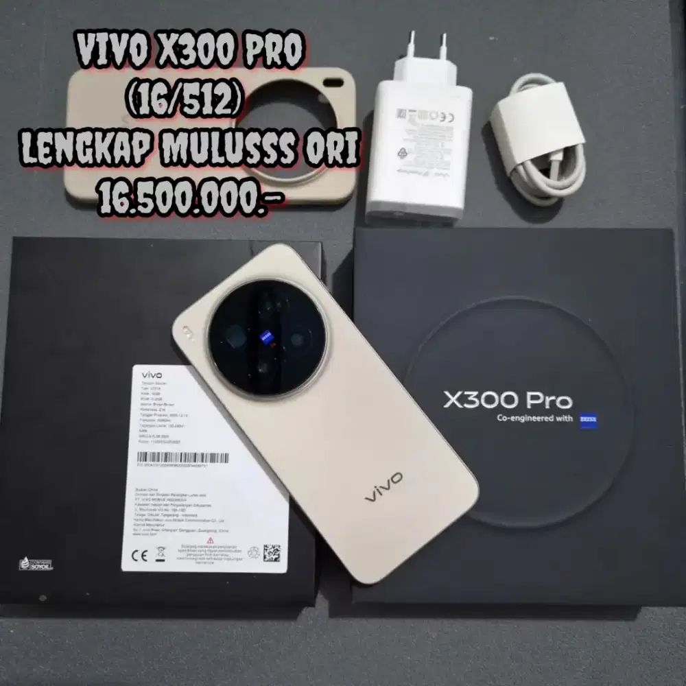Vivo X300 Pro (16/512)